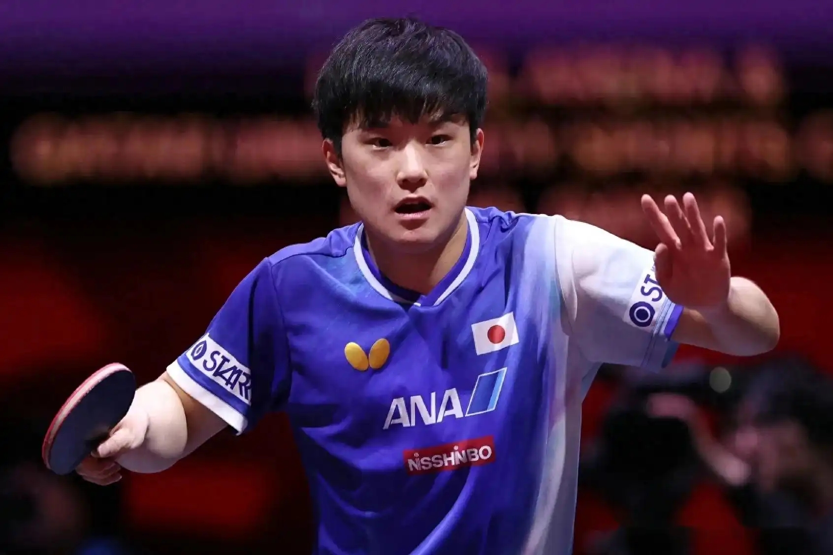 关于奥地利乒乓球队血洗韩国乒乓球队，张本智和惊艳世界的信息