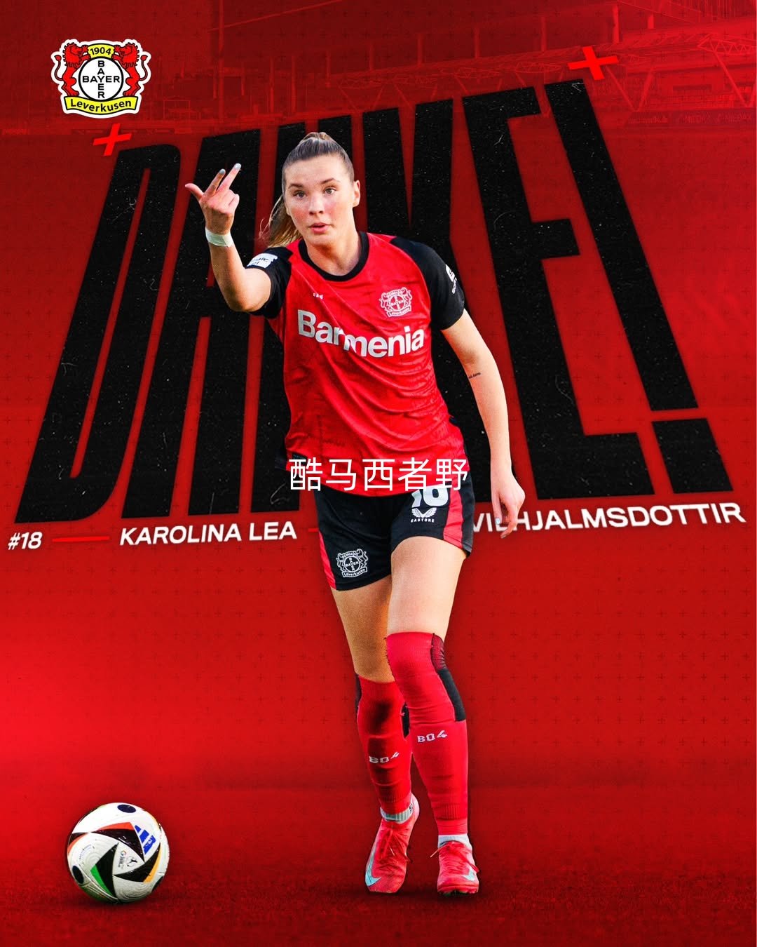 关于勒沃库森队主力中场受伤，或将影响下轮作战的信息