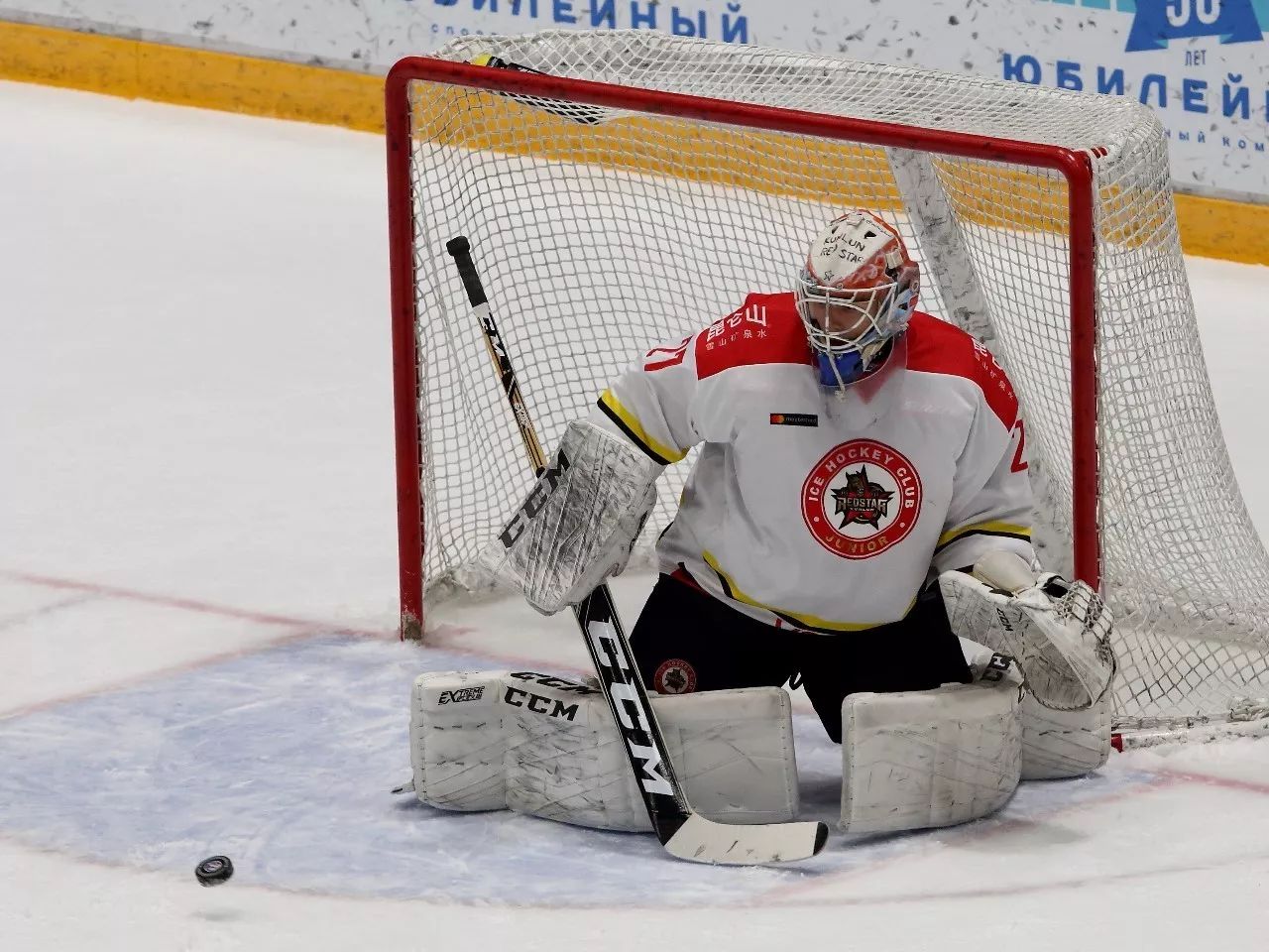 彼尔姆斯主场喜迎绝杀，惊险胜利迎来连胜的简单介绍