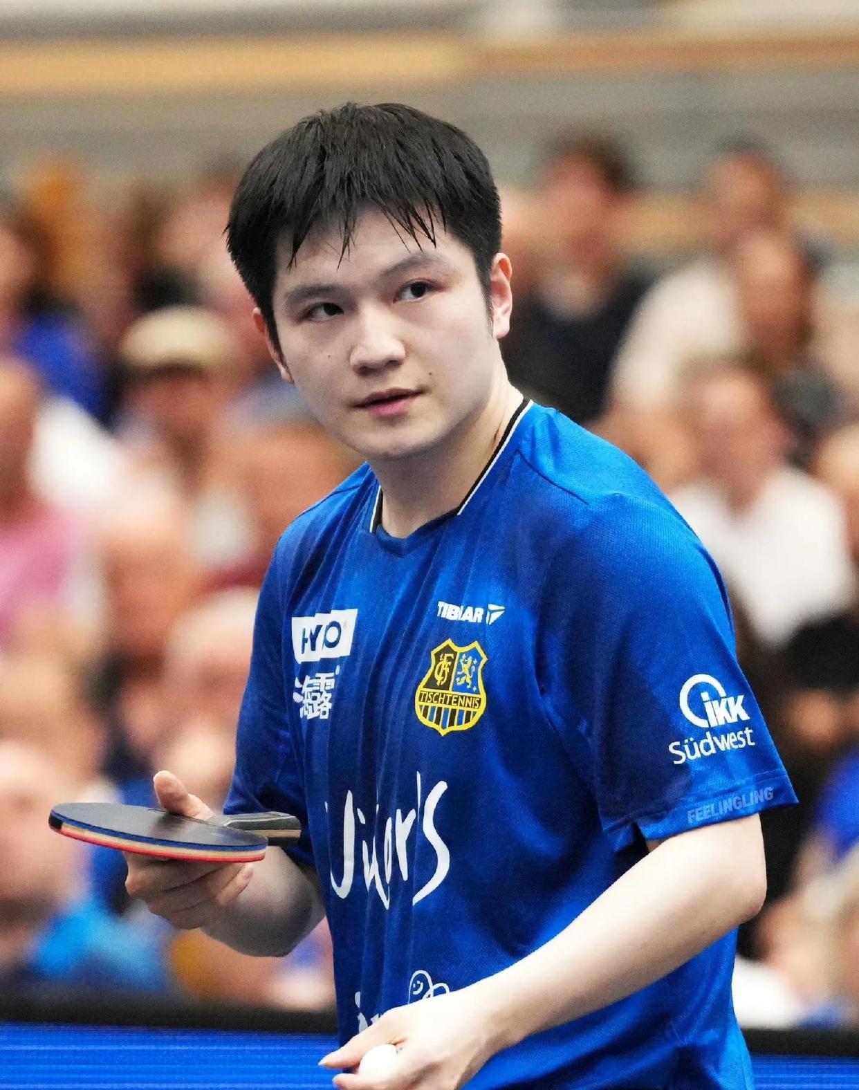 法国乒乓球队绝地反击韩国乒乓球队，樊振东制霸全场的简单介绍