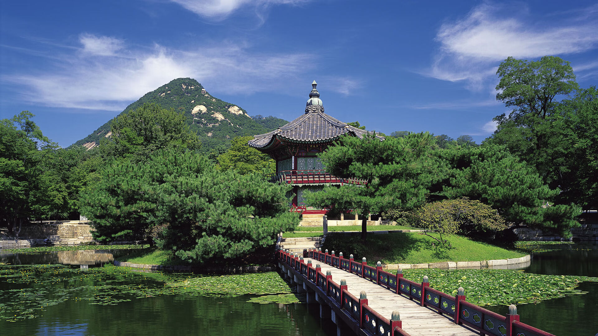 鹰击长空终折翼，西亚卡姆惊艳定乾坤—浙江队终结老鹰连胜传奇